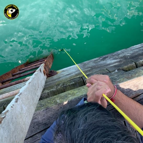 Ferret Plus IP67 WiFi Inspection Camera Kit