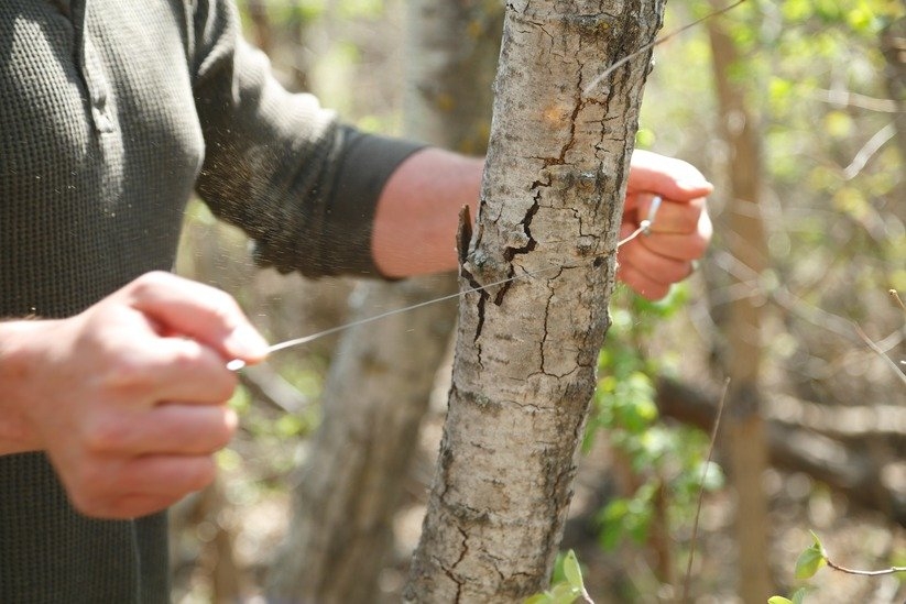 Coghlan's Sportsman's Steel Wire Pocket Saw 51cm