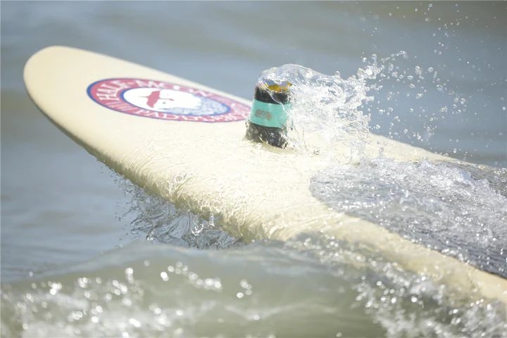 Toadfish Non-Tipping Double Insulated Can Coozie / Stubby Holder Black