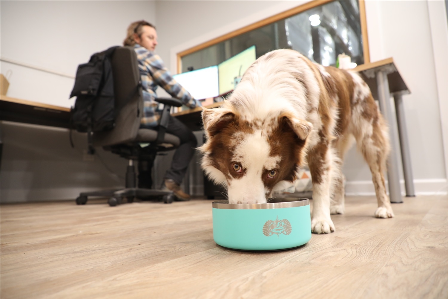 Toadfish Non-Tipping Anti-Slip Dog Bowl 1.5L Teal