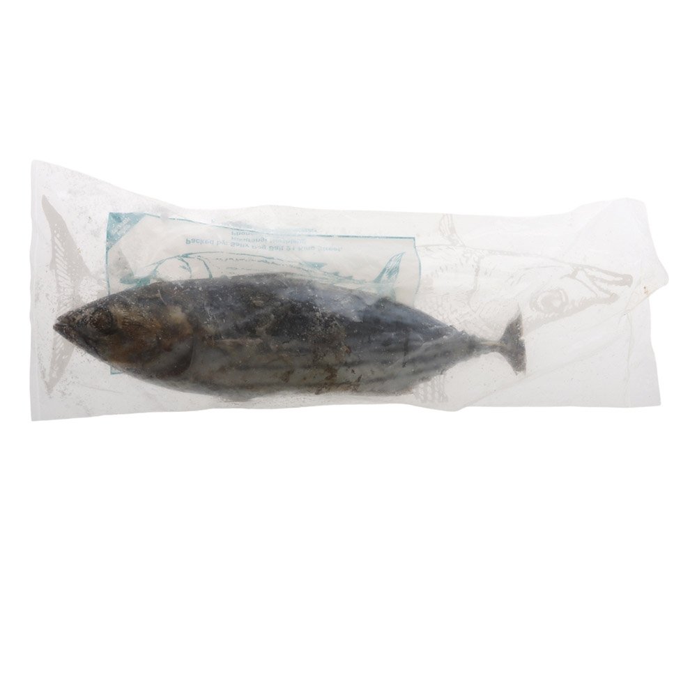 Salty Dog Whole Skipjack / Bonito Medium
