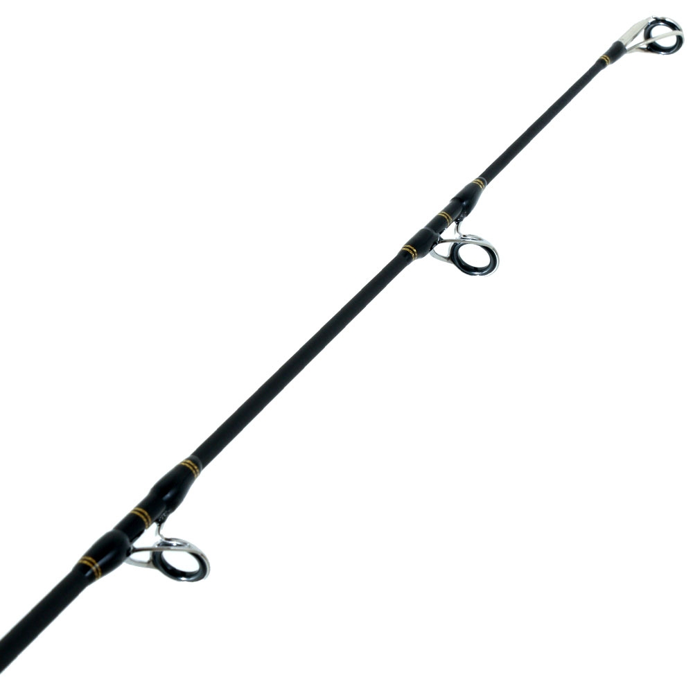 PENN Ocean Assassin 822XXH Spinning Rod 8ft 2in PE6-8 2pc