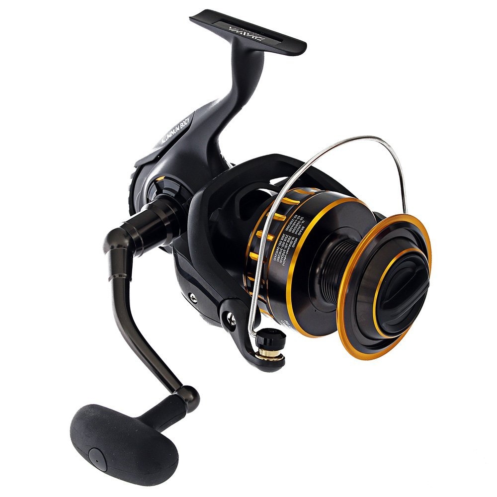 Daiwa BG16 6500 Sealine S56-5/8 Spinning Combo incl Braid 5ft 6in PE5-8 1pc