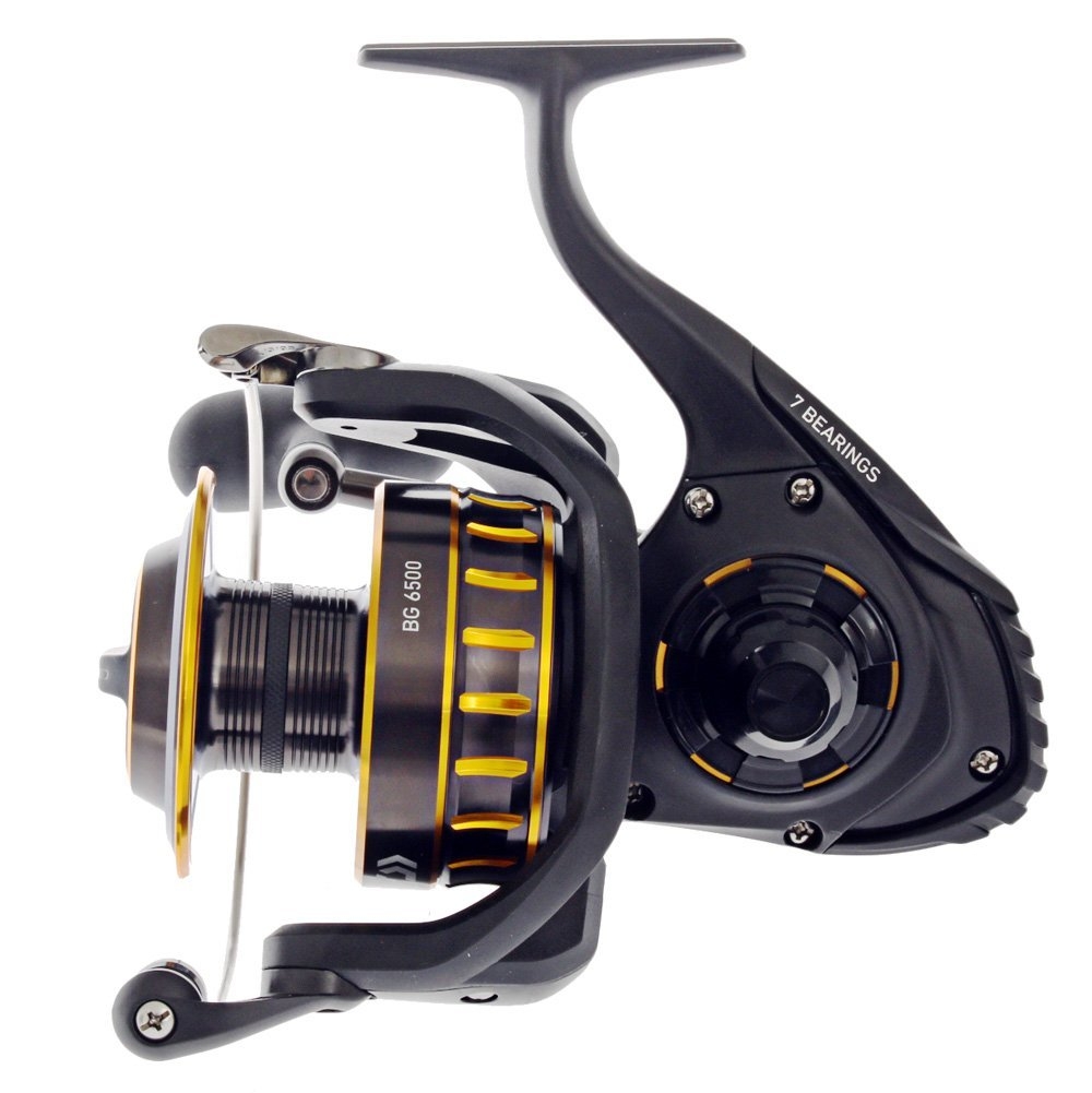 Daiwa BG16 6500 Sealine S56-5/8 Spinning Combo incl Braid 5ft 6in PE5-8 1pc