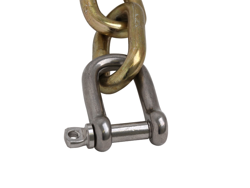 Trojan 316 Stainless Steel D Shackle