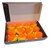 Plastilite Plasti-Bob Float Fluoro 1in
