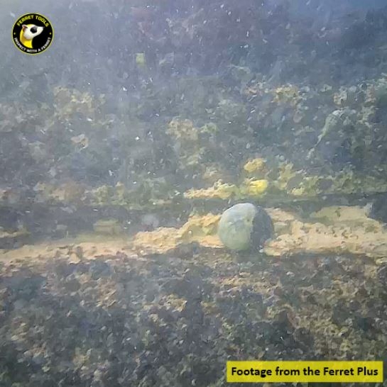 Ferret Plus IP67 WiFi Inspection Camera Kit