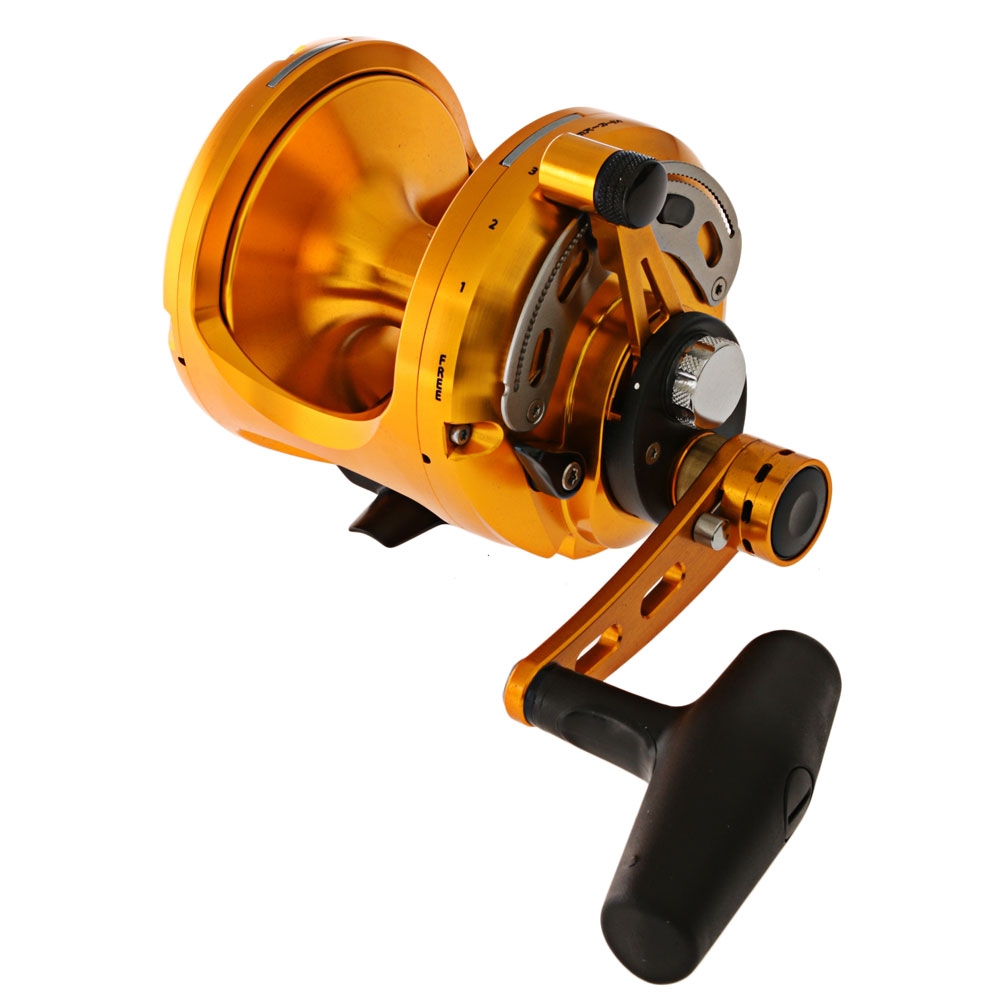 Okuma Makaira 50 2-Speed Open Top Reel Gold