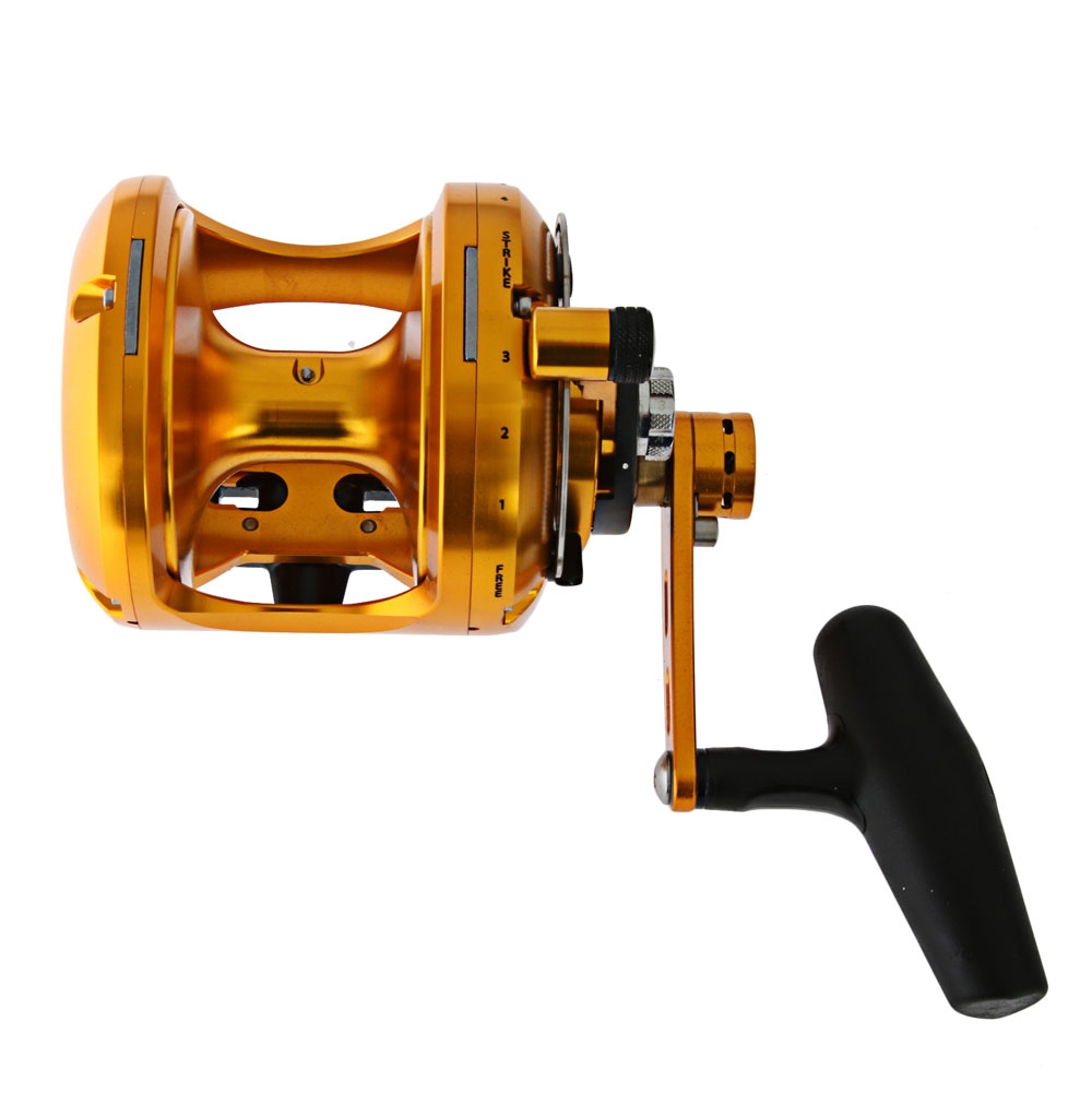 Okuma Makaira 50 2-Speed Open Top Reel Gold