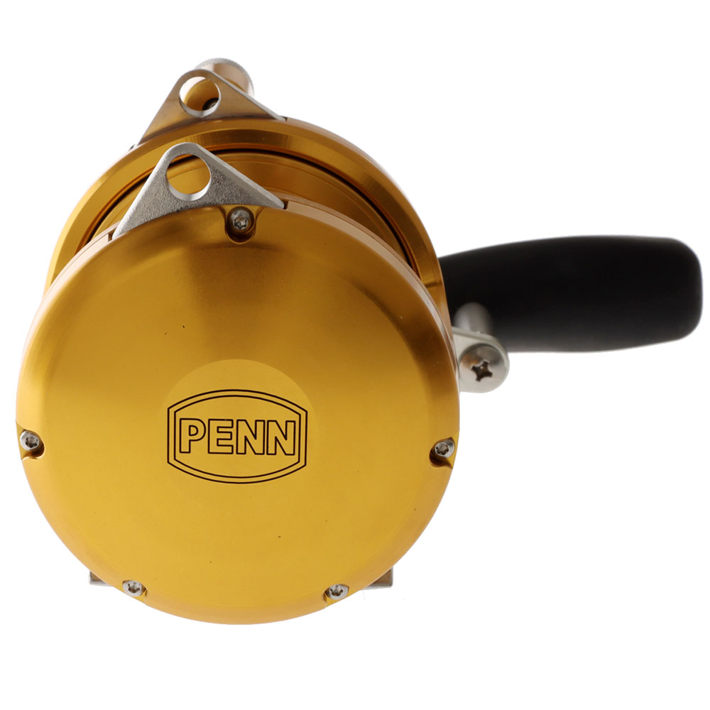 PENN International 30VISX 2-Speed Game Reel Gold