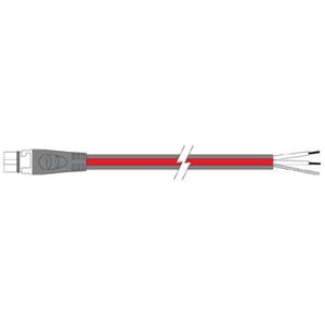 Raymarine A06049 SeaTalkng Power Cable