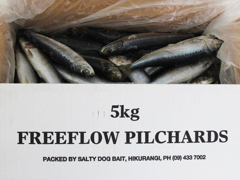 Salty Dog NZ Pilchards 5kg Freeflow Box