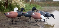 Game On Full Body Paradise Field Decoys - 3x Drake 3x Hen Thumbnail Game On Full Body Paradise Field Decoys - 3x Drake 3x Hen