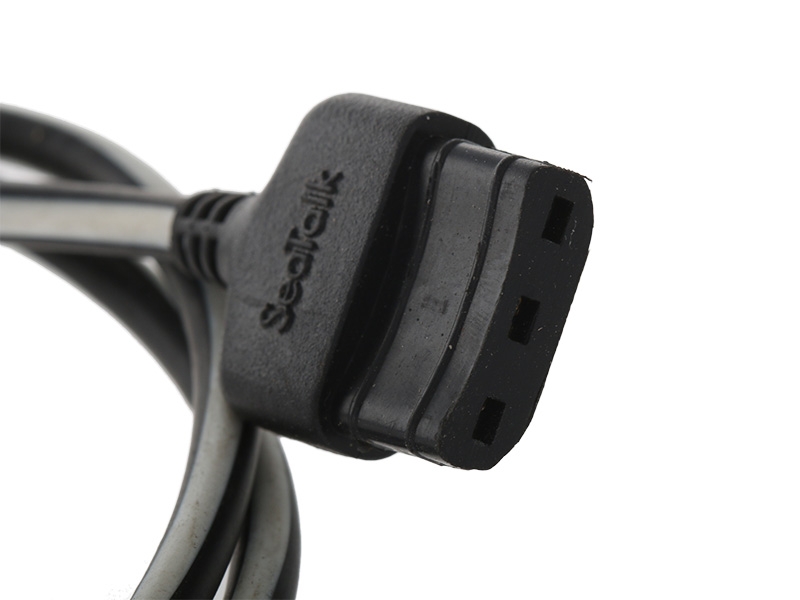 Raymarine STNG-ST1 Spur Cable 1m