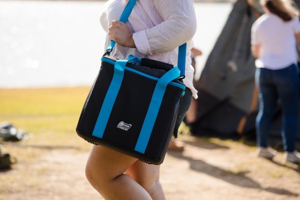 Companion Power Station Carry Bag for Rover 100