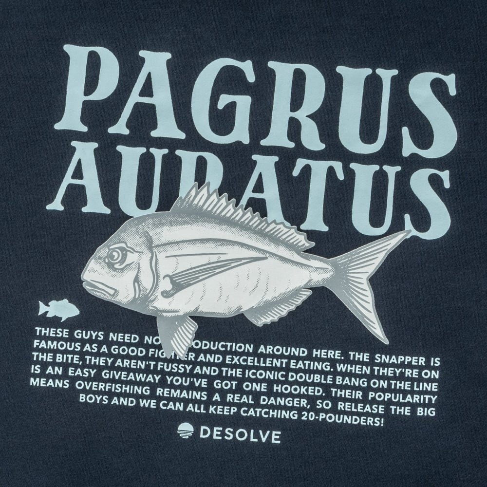 Desolve Auratus Mens Hoodie