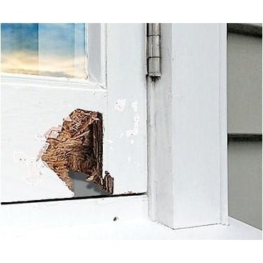 Norski Epoxy Timber Sealer 1L