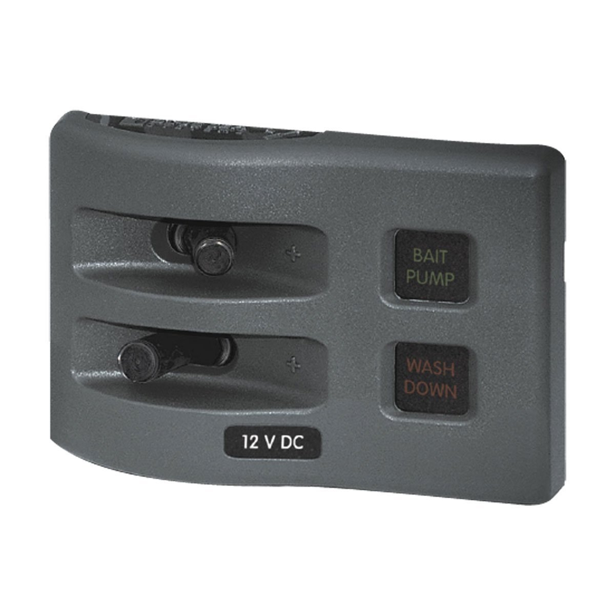 Blue Sea Weatherdeck Switch Panel 2 Position Fused