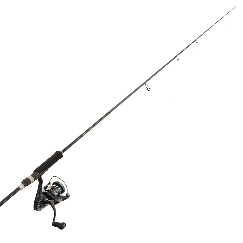 Shimano Miravel 2500 HG Salty Advance Eging Squid Combo 8ft 3in 0.4-1kg 2pc