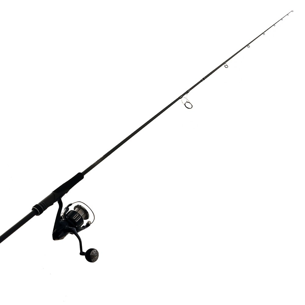 Shimano Twin Power XD A 4000XG Dialuna S80MH Spin Combo 8ft PE1-2.5 2pc