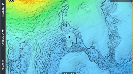 C-MAP Reveal Chart Card Darwin to Esperance SD/MSD