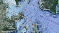 C-MAP Reveal Chart Card NZ/Chatham/Kermadec SD/MSD Thumbnail C-MAP Reveal Chart Card NZ/Chatham/Kermadec SD/MSD