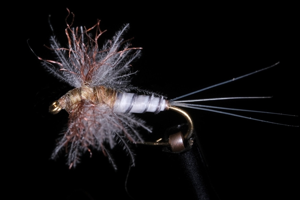 Manic Tackle Project Callibaetis Biot Spinner Dry Fly #16