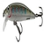Rapala X-Rap Countdown Lure 5cm Rainbow Trout
