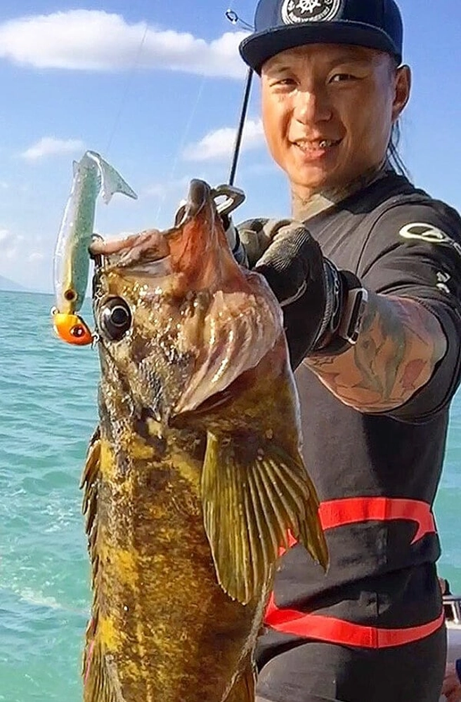 Catch Black Label Livies Jerkshad Soft Bait 10in Qty 3 Catch Black Label Livies Jerkshad Soft Bait 10in Qty 3