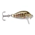 Rapala Countdown CD-3 Sinking Lure 3cm Gold Juvenile Trout