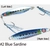 Hayabusa Jack Eye Shot Slow and Slim Jig 60g #2 Blue Sardine