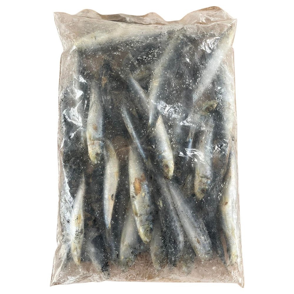Fresh Frozen Free Flow Pilchards 1kg Seconds