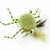 Wapsi Crab Coins 3/8inch Tan 9.5mm