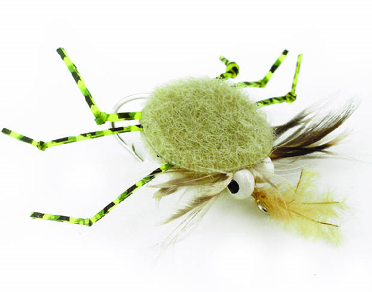 Wapsi Crab Coins Tan