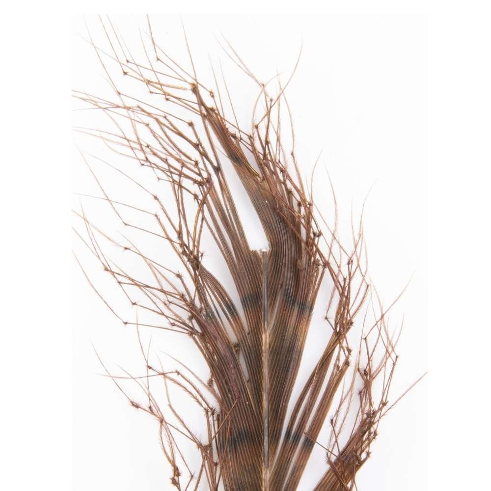 Semperfli Knotted Cranefly Legs Natural