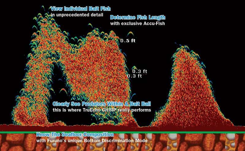 Furuno DFF1-UHD CHIRP Sounder Module for NavNet