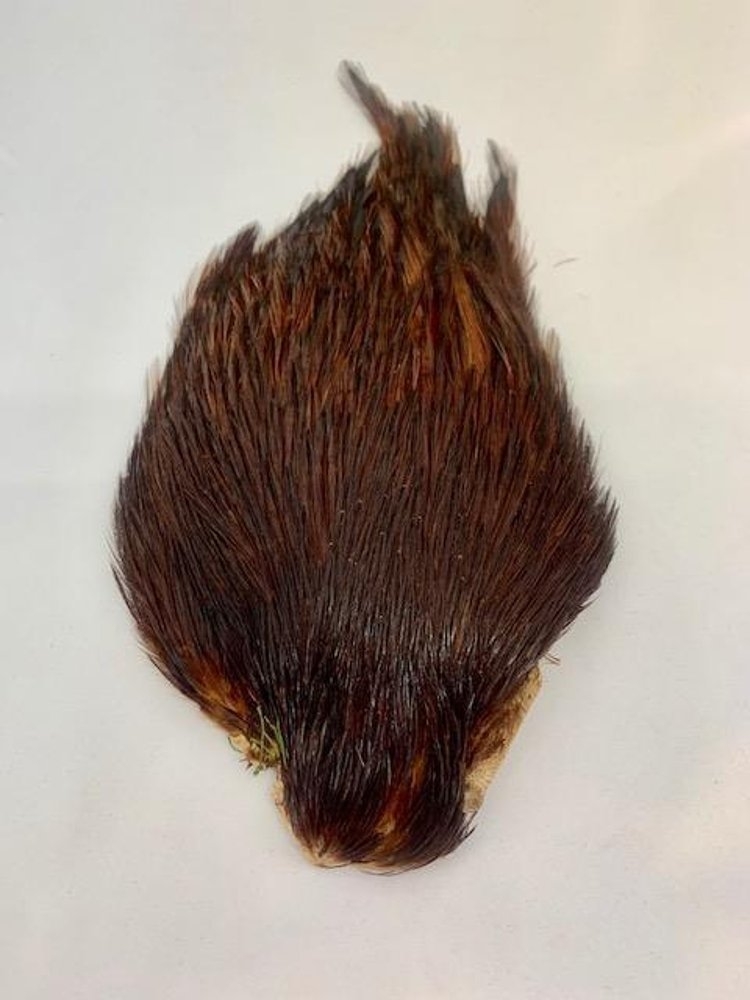 Wapsi Dry Fly Rooster Neck #A Grade Brown