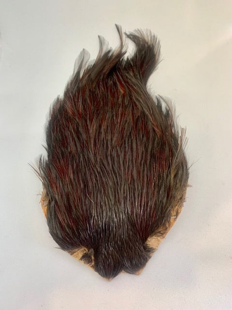 Wapsi Dry Fly Rooster Neck #A Grade Furnace