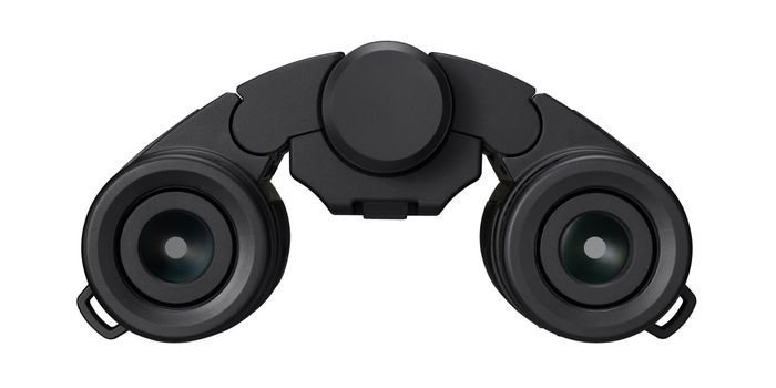 Nikon Stabilized Binoculars 12x25 S