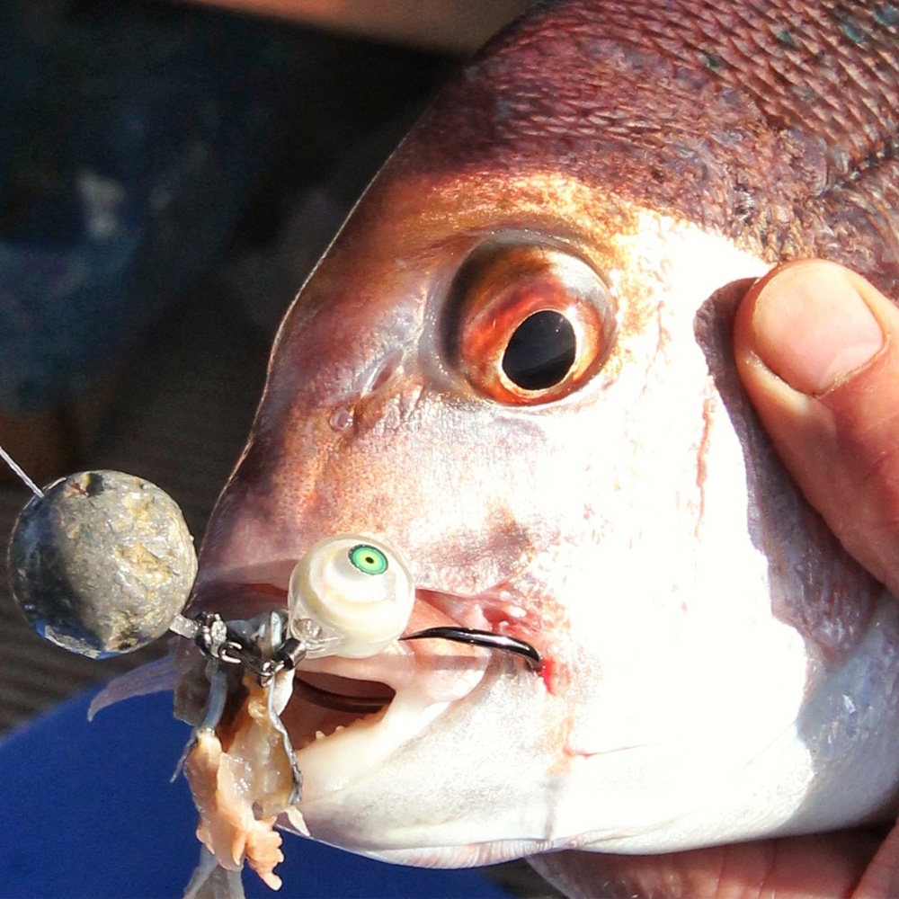 Glowbite Disco Clip Qty 4