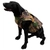 Outdoor Outfitters Hunting Dog Vest with Carry Handle 5mm Forest Camo L