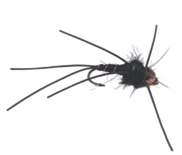 Double Beaded Leggy Stonefly #10 Black