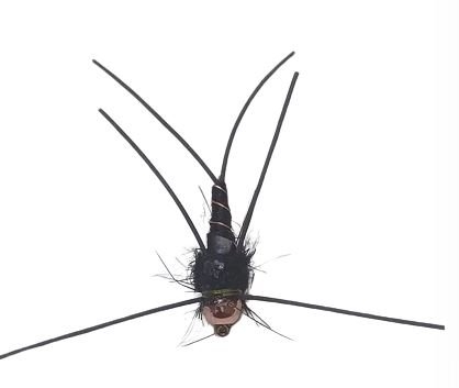Double Beaded Leggy Stonefly #12 Black