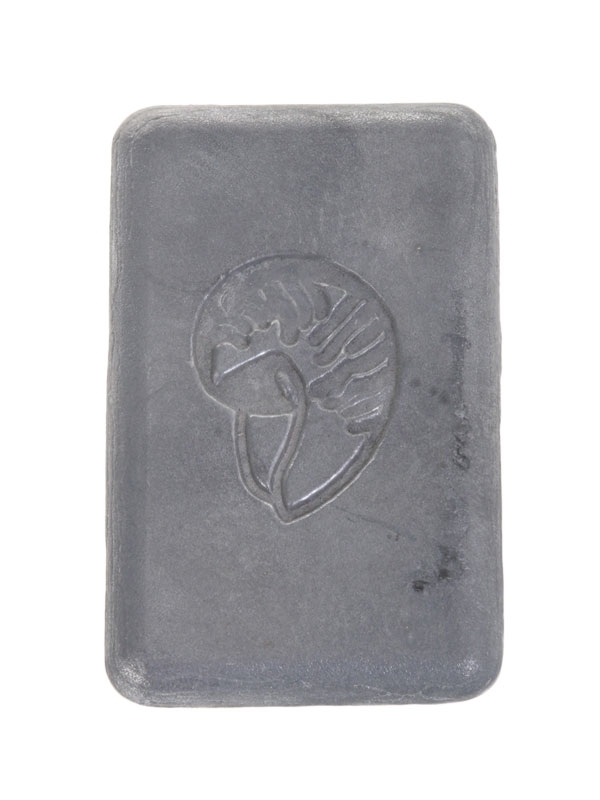 Pocket Dive Weight 0.5kg