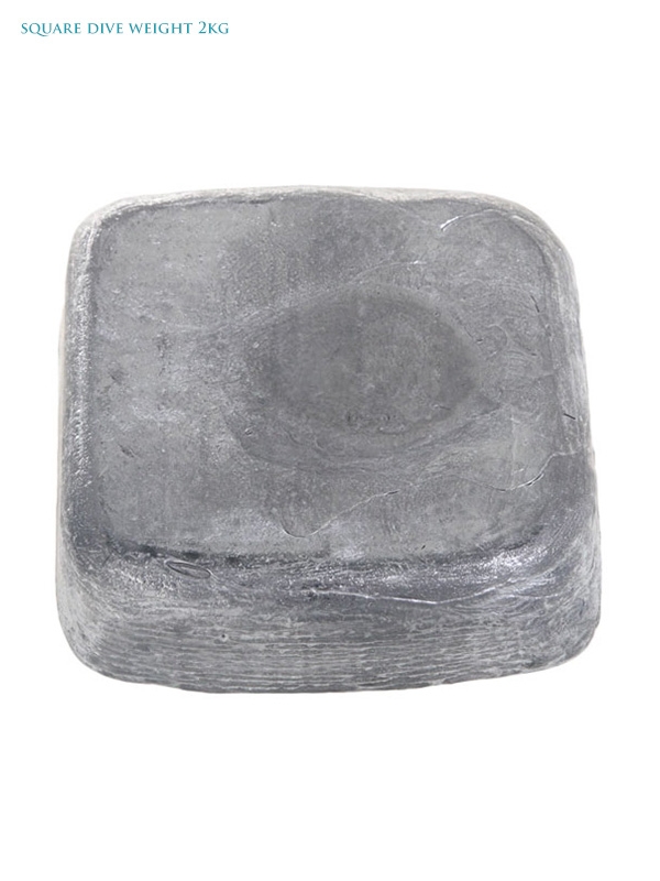 Pocket/Solid Dive Weight