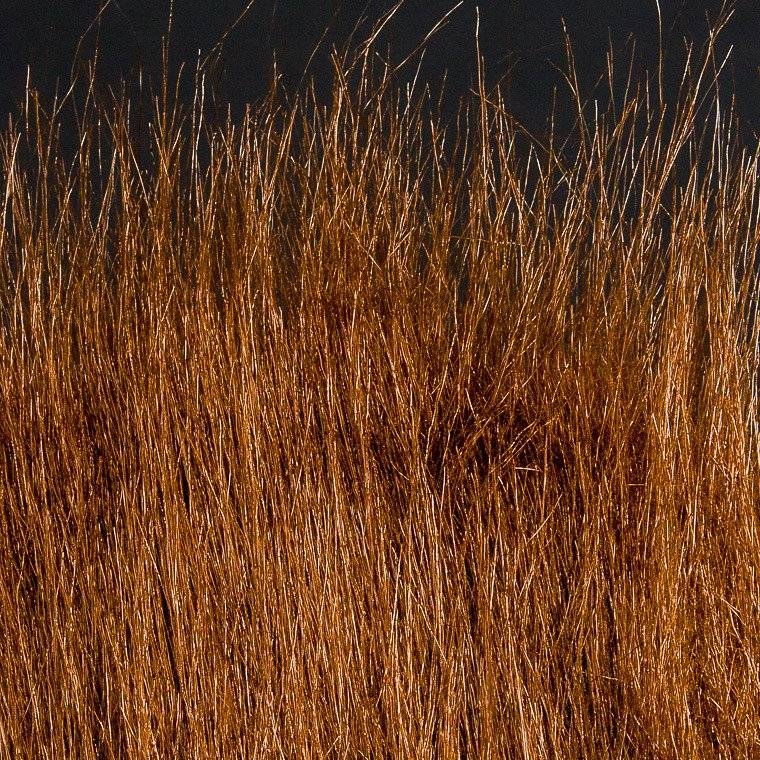 Wapsi Craft Fur Root Beer