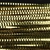 Wapsi Lateral Scale Gold
