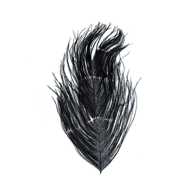 Wapsi Ostrich Herl Black