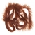 Wapsi Rabbit Zonkers Brown