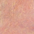 Wapsi SLF Prism Dubbing Shrimp Pink
